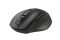 Mouse 2E MF250 Silent, WL, black