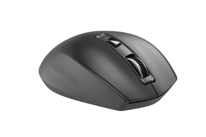 Mouse 2E MF250 Silent, WL, black