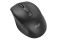Mouse 2E MF250 Silent, WL, black