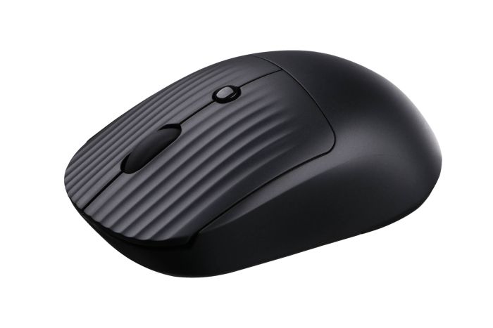 Mouse 2E MF218 Silent, WL/BT, black