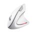 Mouse Trust Verto Ergonomic, WL, Білий